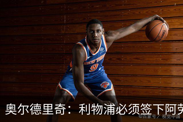 奥尔德里奇：利物浦必须签下阿劳霍
